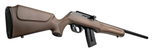 ROSSI RS22 22MAG BLK/BROWN 21" 10+1