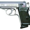 WALTHER PPK  HGA 380 ACP 3.3"BBL STAINLESS 2-6RD MAGS - Image 3