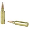 HORNADY AMERICAN WHITETAIL AMO 300 WSM 165GR INTERLOCK 20RD (10 BOX CASE) - Image 3