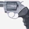 CHARTER ARMS PATHFINDER HGR 22LR 2" BBL SS 6/RD - Image 2