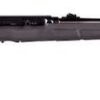SAVAGE A22 RIA 22LR 21" BBL BLUE BLACK SYNTHETIC 10/RD ROTARY MAG W/ACCUTRIGGER - Image 3