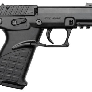 Kel-Tec P17 Pistol - Black | .22 LR | 3.8"  Threaded Barrel | 10rd | Fiber Optic Front Sight