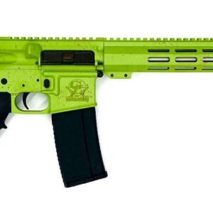 GREAT LAKES FIREARMS GL-15 RIA 223 WYLDE 16IN BBL ORC  ZOMBIE SPLATTER/SS 30RD MAG